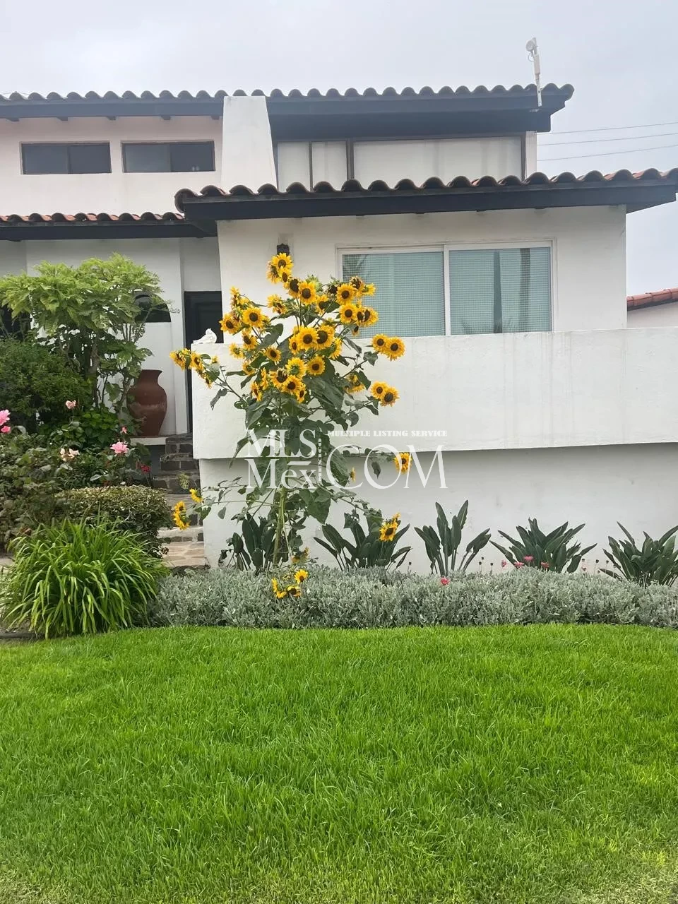 Beachfront 3BR Home for Rent in La Paloma Rosarito | Ocean Views, Resort Amenities & 24/7 Security