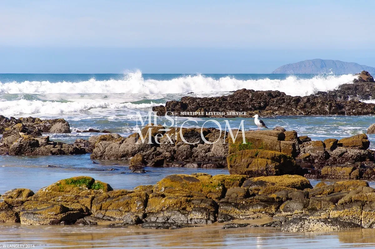 2BR 1,500ft Condo in Rosarito | Gated Community | 30 Min to US Border